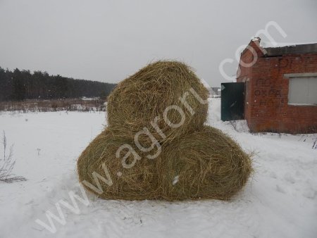 Сено урожая 2015г. крытого хранения, рулоны и тюки
