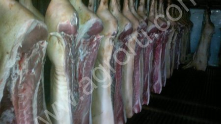 Свинина охлажденная 1 категории