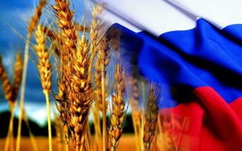 Бангладеш обогнал Турцию и Египет по импорту российского зерна