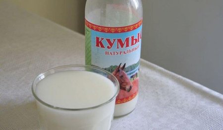 Казахстан может заработать на кобыльем молоке миллиарды