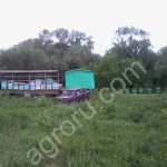 эспарцетовый Мёд