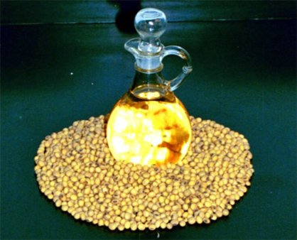 Темпы мирового производства соевого масла  возросли