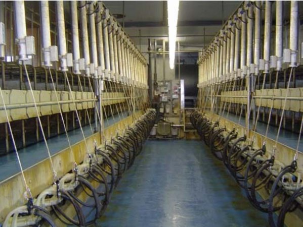 В США Afikim строит крупнейший доильный комплекс в мире