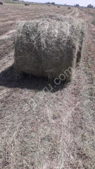 Люцерновое сено в рулонах