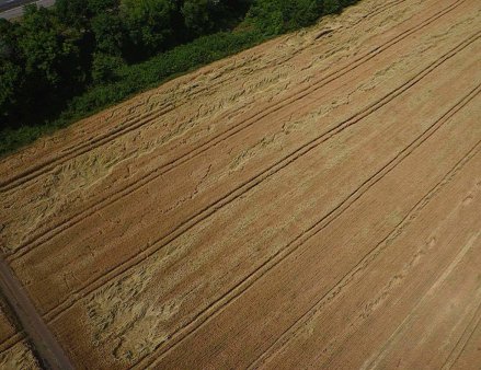 Счетная палата критикует действующую систему страхования рисков на селе.