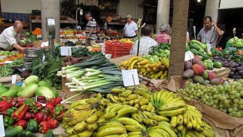 Аналитики проанализировали состояние рынка продуктов США