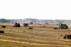 Полевой дневник: посевная на Дону близится к финишу