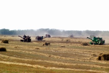 Полевой дневник: посевная на Дону близится к финишу