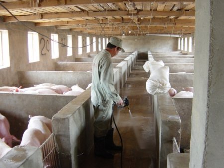 Агрохолдинг Мираторг вложит 7,2 млрд рублей в развитие АПК Курской области