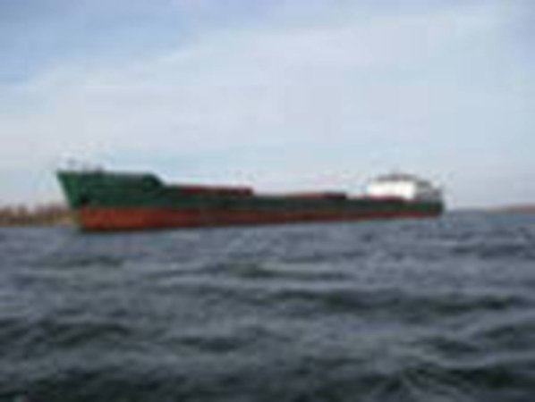 Япония закупила фуражный ячмень на тендере