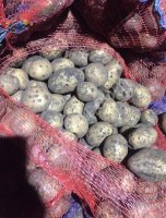 Картофель оптом от производителя