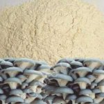 Грибной порошок гриба Вешенка