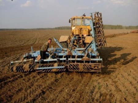 В Лениногорском районе РТ планируют сделать ставку на производство качественных семян