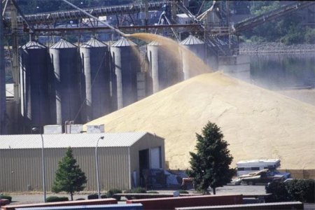 ФТС: экспорт зерна из РФ за первые дни февраля составил 177 тыс тонн