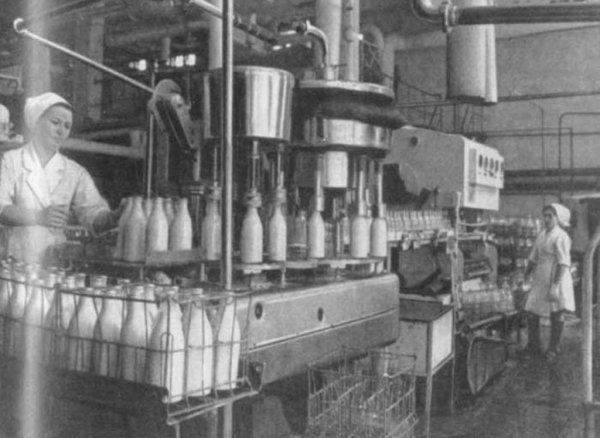 Молочная отрасль терпит убытки из-за роста цен на молоко