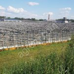 Теплица под демонтаж 5 га