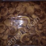 Шампиньоны консервированные целые и резаные для HoReCa