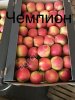 Яблоко Чемпион, Имант оптом