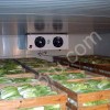 Овощехранилища с Холодильной Установкой для Хранения Овощей