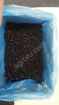 Черная смородина замороженная