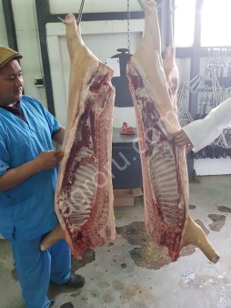 Свинина полутуши