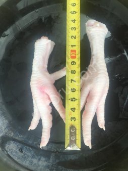 Лапы (ножки) куриные