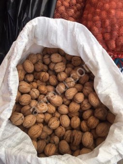 орехи оптом