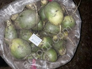 Редька