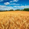 Перевозки сельхоз продукции
