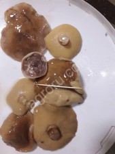 Маслята солёно-отварные