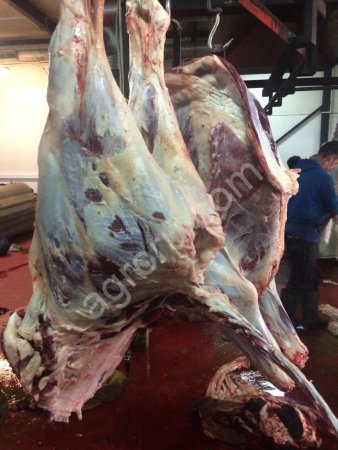 Говяжьи туши крупным и мелким оптом