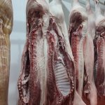 Мясо свинины полутуши, блочная продукция , субпродукты, головы. 4 компартмент.