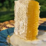 сотовый мед