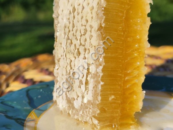 сотовый мед