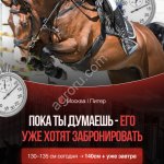 Мерин Zangersheide