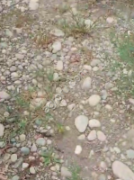 Гравийно-песчаная смесь (гпс)