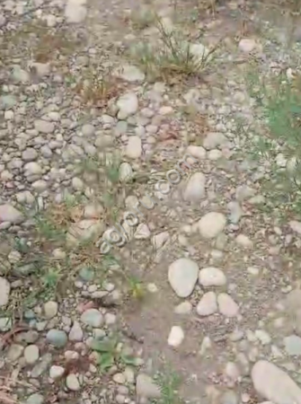 Гравийно-песчаная смесь (гпс)