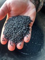 Семена лука сорт Стардаст