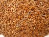 Flax seed CIF port of Tianjin China