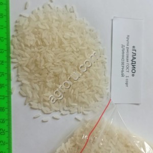 Рис длиннозерный Гладио