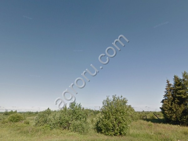 15,5 гектар