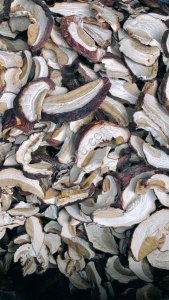 СУШЁНЫЕ ЛЕСНЫЕ ГРИБЫ ОТ КОМПАНИИ Грибной Алтай