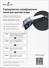 Сортировочно-калибровочная машина  и фасовочная линия для круглой ягоды