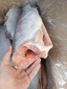 Форель ПБГ 2,7-3,6 кг