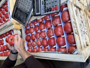 Без посредников примой производитель