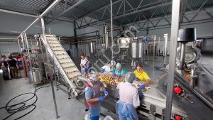 Линия производства фруктовых и овощных пюре