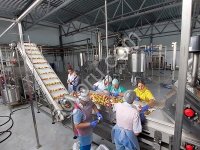 Линия производства фруктовых и овощных пюре