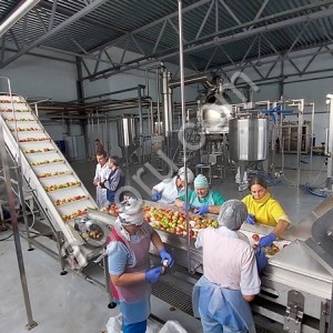 Линия производства и асептической фасовки фруктовых и овощных  пюре