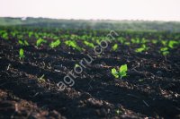 Готовый фермерский бизнес поля земля сады водоёмы техника сарайи гаражы боксы