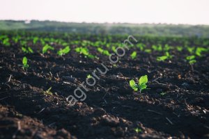 Готовый фермерский бизнес поля земля сады водоёмы техника сарайи гаражы боксы